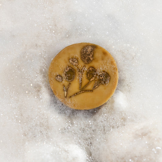 Acondicionador Revitalizante en Barra - Romero y Arbol de Té