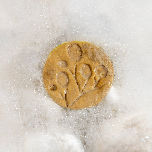 Shampoo Revitalizante en Barra - Romero y Arbol de Té - Natú Botanicals MX