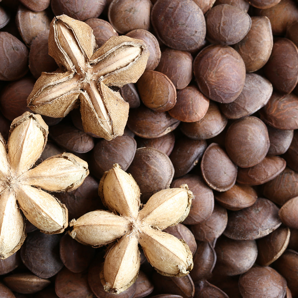 Aceite de Semilla de Sacha Inchi