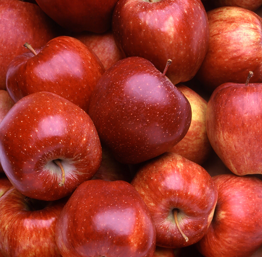 Vinagre de Sidra de Manzana