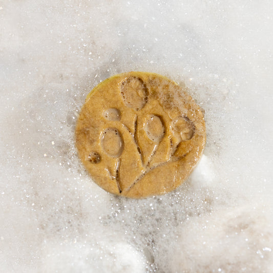 Shampoo Revitalizante en Barra - Romero y Arbol de Té