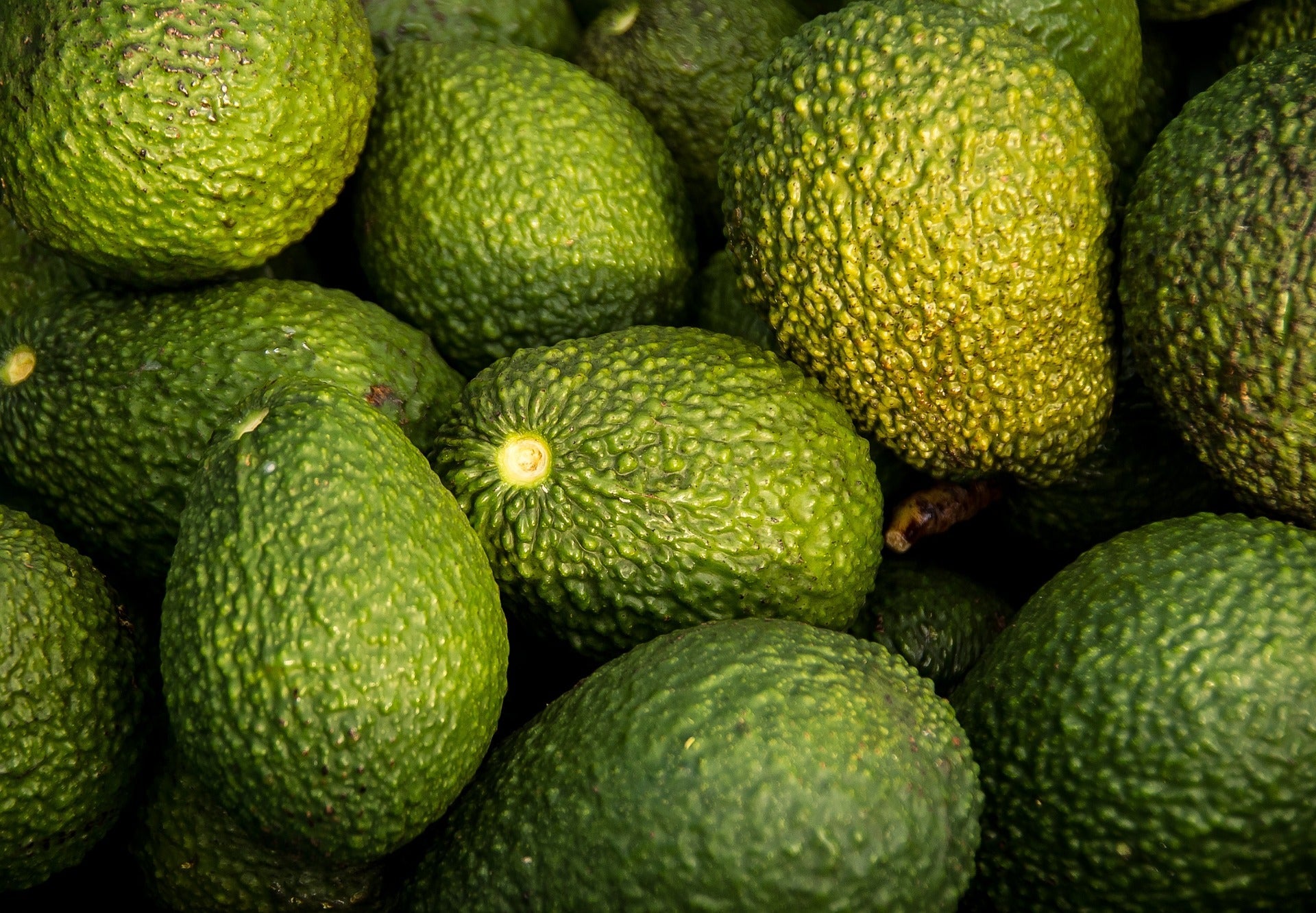 Aceite de Aguacate