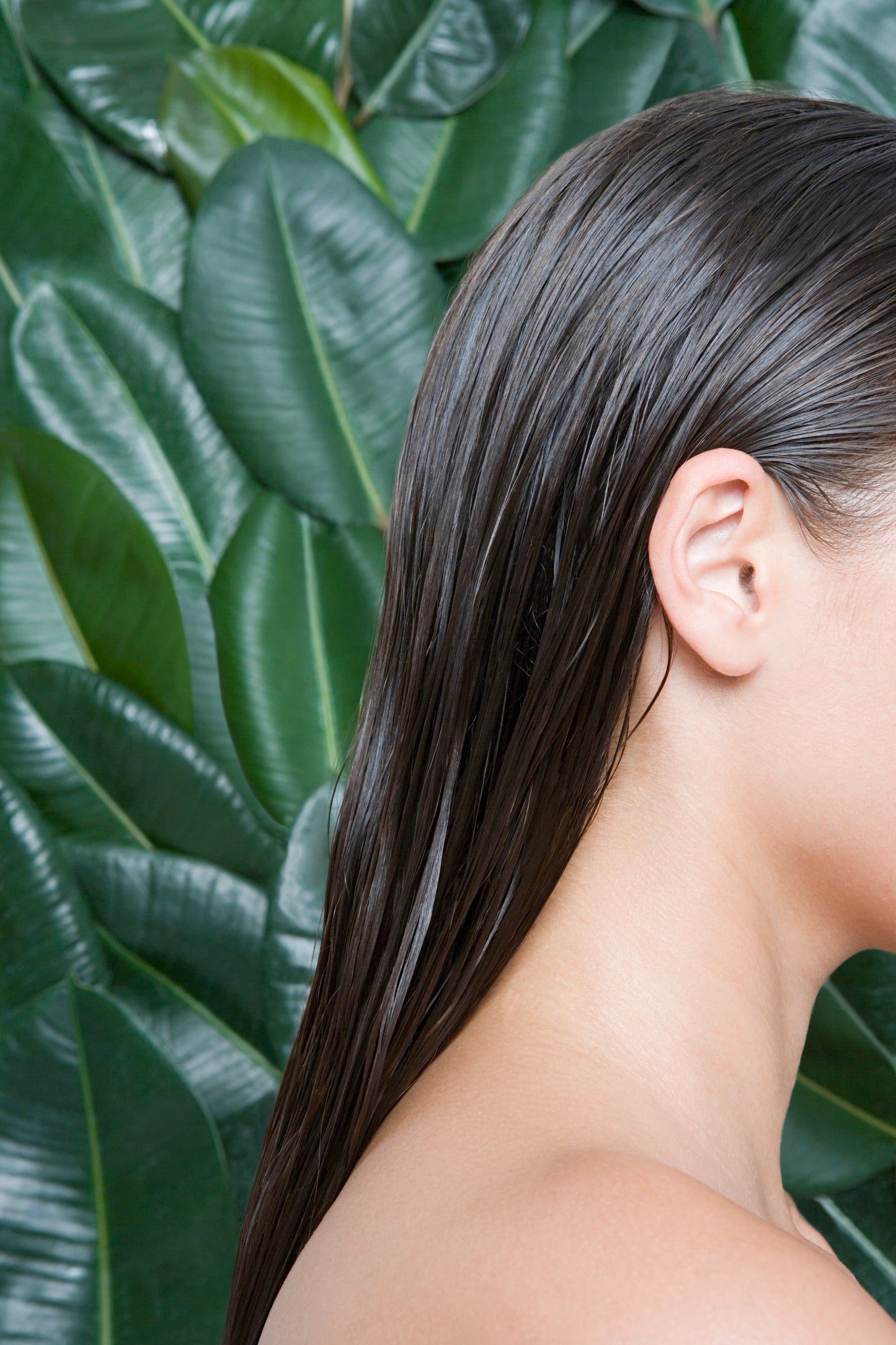 Acondicionador Revitalizante en Barra - Romero y Arbol de Té